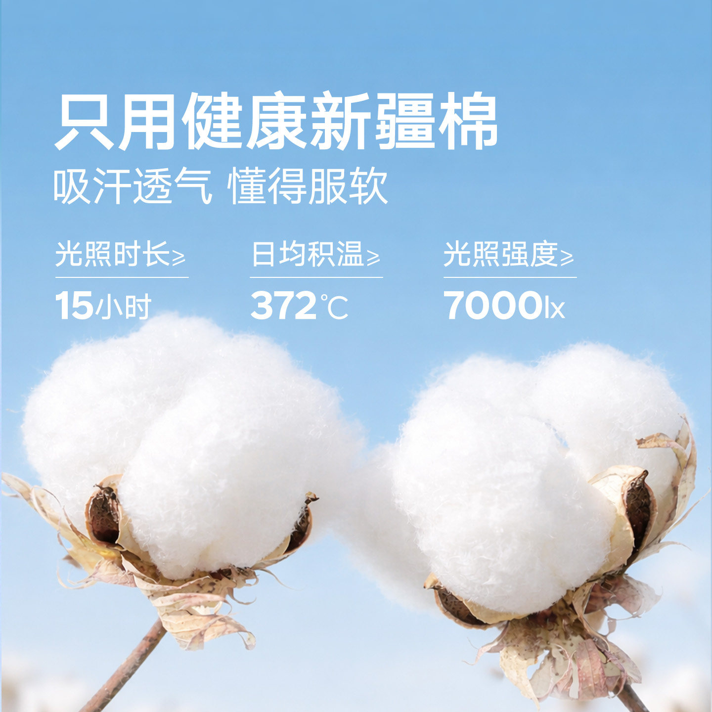 松山棉店黑白灰袜子男士女士中筒抗菌袜防臭吸汗长袜棉袜短袜男袜