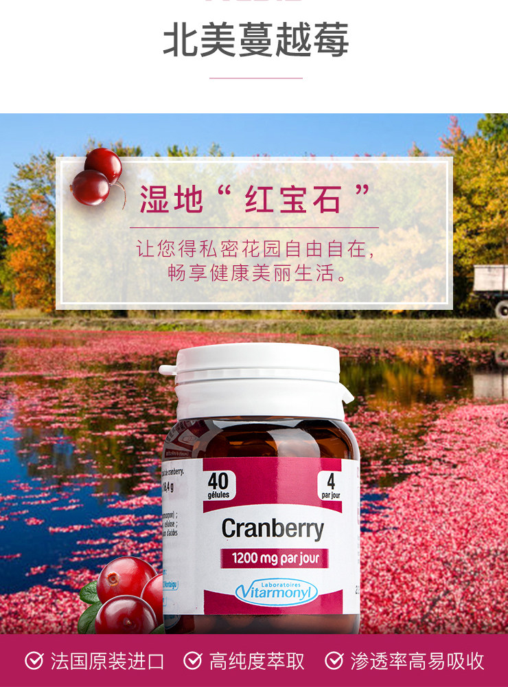 YvesPonroy海外蔓越莓
