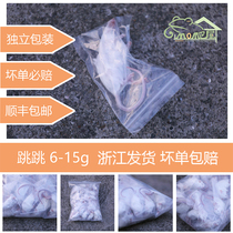 Reptile independent packaging Jump with small white rat white cream feeding snake food sub-adult body corner frog climbing for non-cow freezing