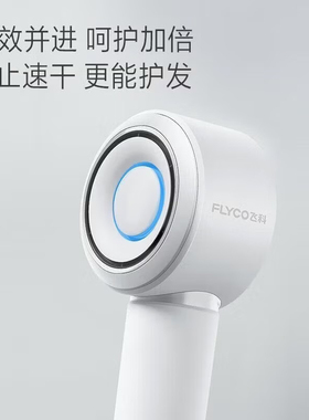 飞科高速电吹风机负离子护发家用大功率发型师专用风筒宿舍FH6373