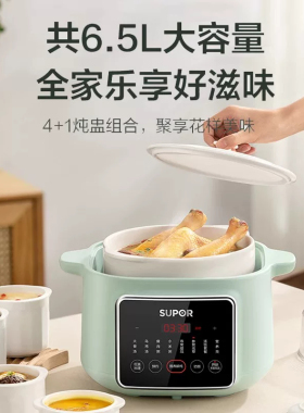 苏泊尔家用电炖锅煲汤电蒸炖砂锅