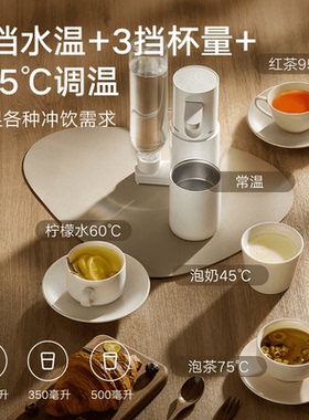 小米米家便携式即热饮水机净饮机