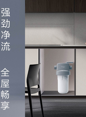 康丽根culligan前置一体式旁通35kg防爆