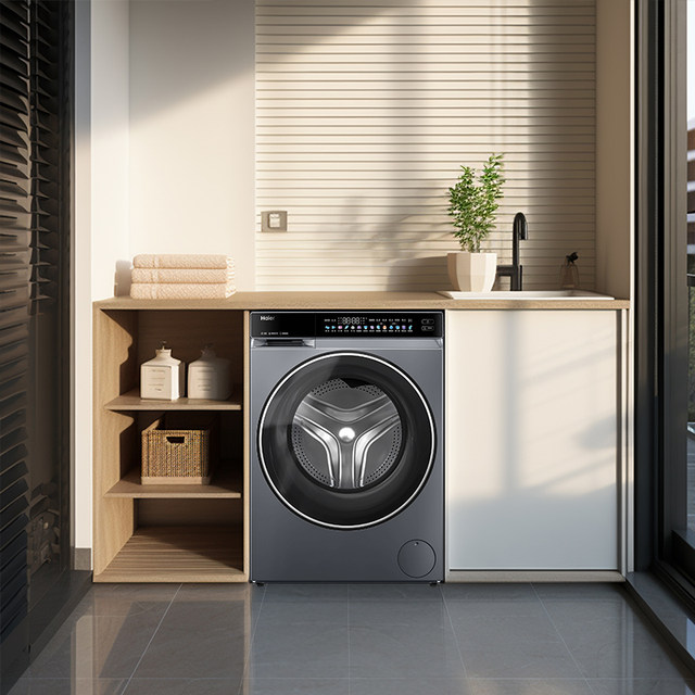 Haier XQG100-BLDE580HU1