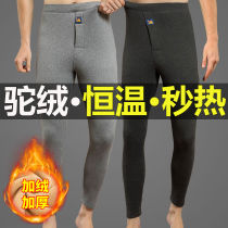 (Cavelvet Thickened Camel Warm Pants Men) Winter Warm Pants Underpants Mid-Pants Mid-Waist Thickened Autumn Pants Mid-Aged