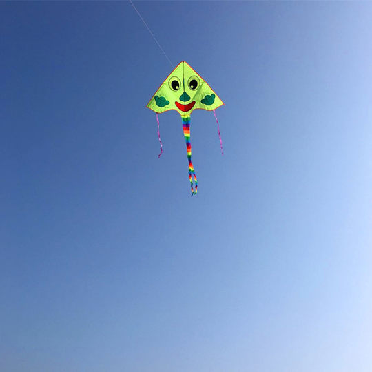 Weifang Smiley Kite Children's Cartoon Kite