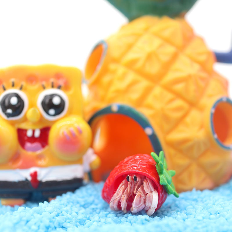 寄居蟹饲养箱盒套餐套装塑料新手迷你懒人宠物亚克力透气儿童礼物,淘宝优惠券,粉丝福利购,淘宝优惠卷