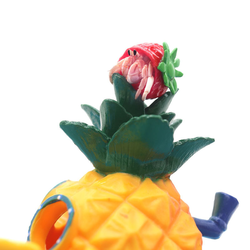 寄居蟹饲养箱盒套餐套装塑料新手迷你懒人宠物亚克力透气儿童礼物,淘宝优惠券,粉丝福利购,淘宝优惠卷