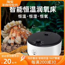 Home crab Warm Water Heating Winter Insulation Heating Equipment Water Heating Bed Oxygen Moisturizing Mini Province Space Water Undrying