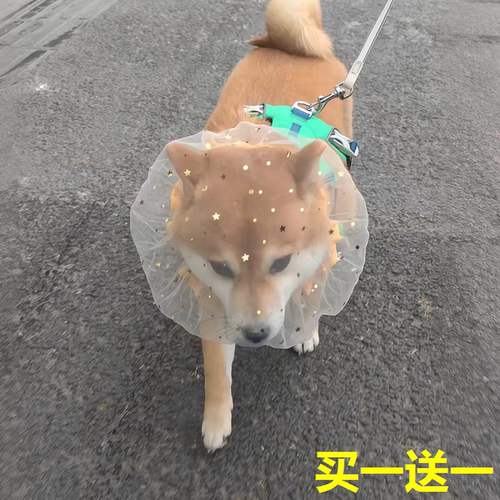 狗狗头套防偷吃乱吃头纱透气宠物专用小狗嘴套防误食面罩防舔网套 - 图2