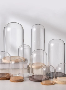 蝴蝶标本玻璃罩展示盒diy手办装饰桌面摆件干花透明防尘罩工艺品