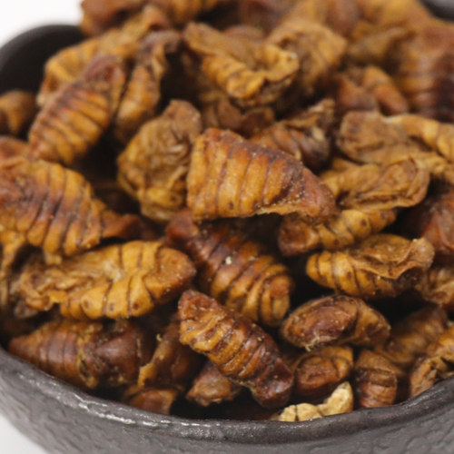 乌龟仓鼠松鼠大眼飞鼠蜜袋鼯吃的食物零食花枝鼠龙猫钙粮食蚕蛹干 - 图1