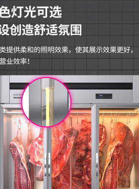 挂肉柜商用保鲜冷冻猪牛羊肉专用