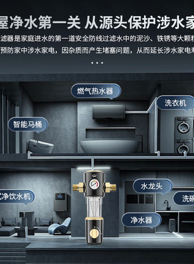 创新者大流量全屋净水器