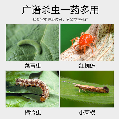 阿维菌素1.8% 红蜘蛛专杀小菜蛾青虫根结线虫 蔬菜月季花卉杀虫剂 - 图1