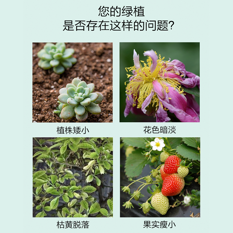 三元复合肥氮磷钾花肥盆栽通用养花太阳花肥料蔬菜果树专用肥盆栽-图0