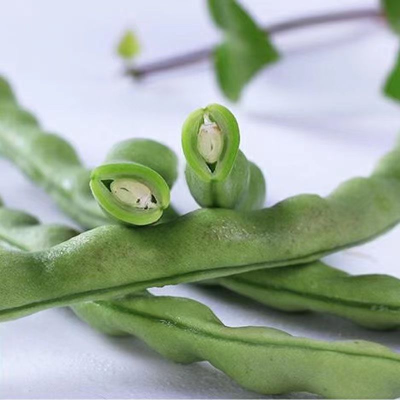 云南新鲜四季豆老品种棒豆现摘时令蔬菜嫩豆角刀豆青芸豆保鲜发货-图2