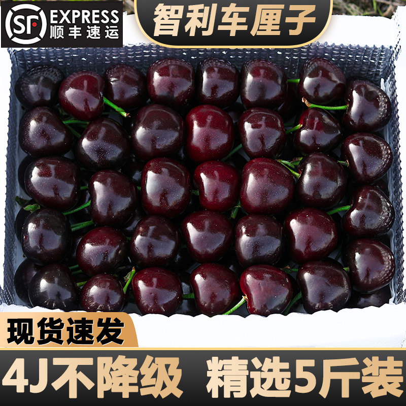 现货车厘子新鲜水果智利进口5斤大樱桃应当季整箱大果4j孕妇脆甜3