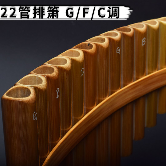 苦竹22管专业演奏排萧G成人初学F排笛C调学生民族吹奏乐器