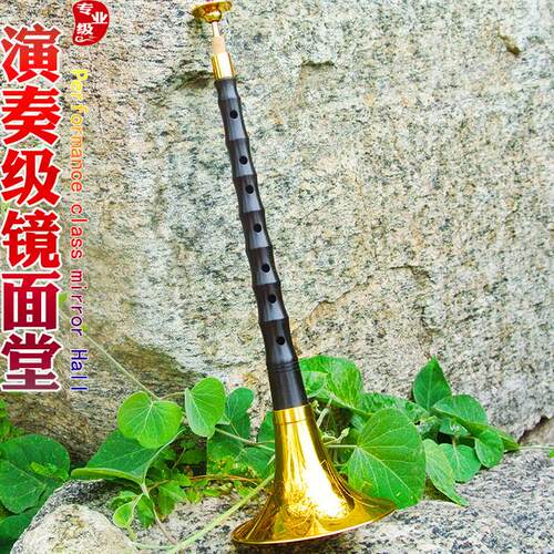 专业唢呐乐器镜面堂演奏级降b调戏曲乌木黑檀升F成人儿童入门D调 - 图1