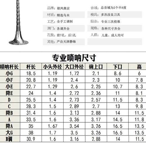 专业唢呐乐器镜面堂演奏级降b调戏曲乌木黑檀升F成人儿童入门D调 - 图0