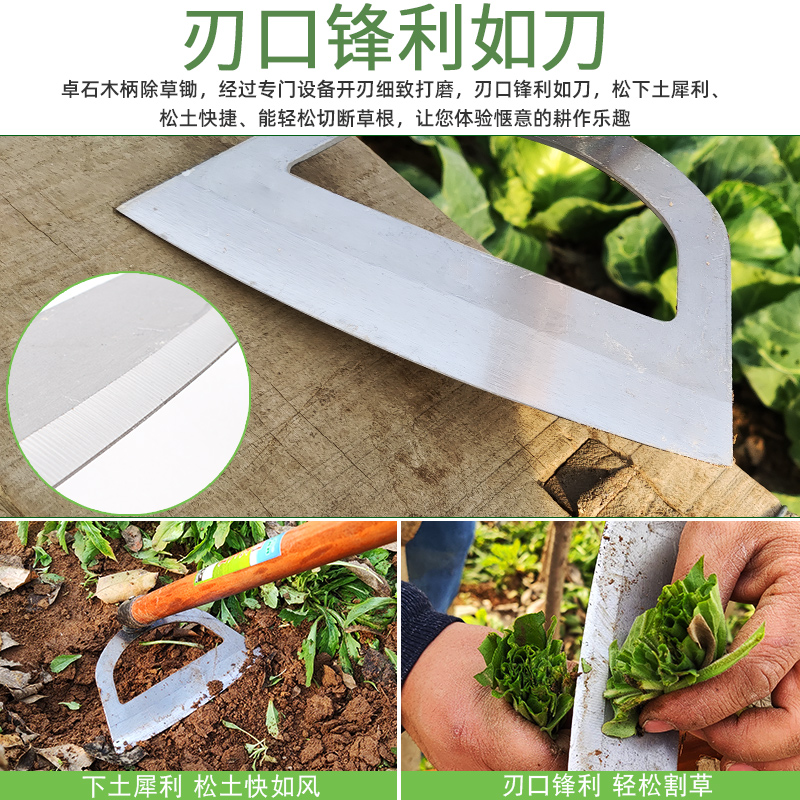 锄头除草工具神器种菜家用专用锄草铲草锰钢农具翻地松土农用大全 - 图1