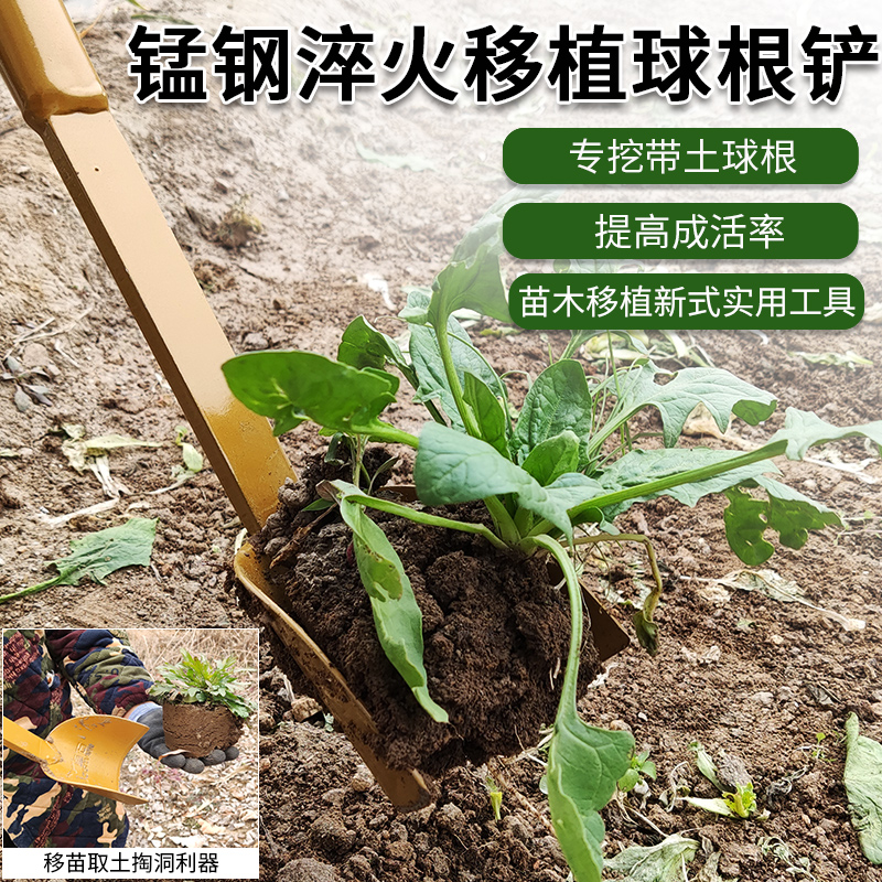 球根挖 新人首单立减十元 21年8月 淘宝海外