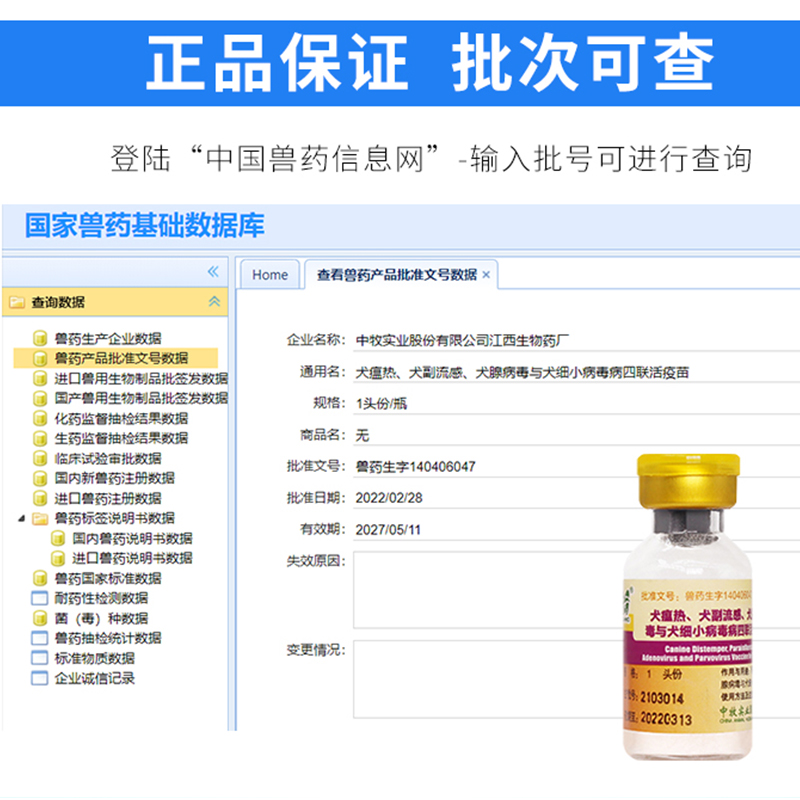 中牧狗狗疫苗幼犬套餐四联宠物预防加强犬瘟细小狂犬狗用全套育苗 - 图0