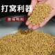 ຕົ້ນສະບັບ pellet duck feed ຂຸມສີດໍາຕົ້ນສະບັບ herring feed pellet ຮັງອຸປະກອນການ nesting feed ການຫາປາທໍາມະຊາດ ຮັງອາຫານປາ