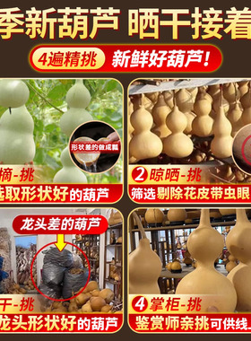 天然葫芦挂件真胡灸中国结