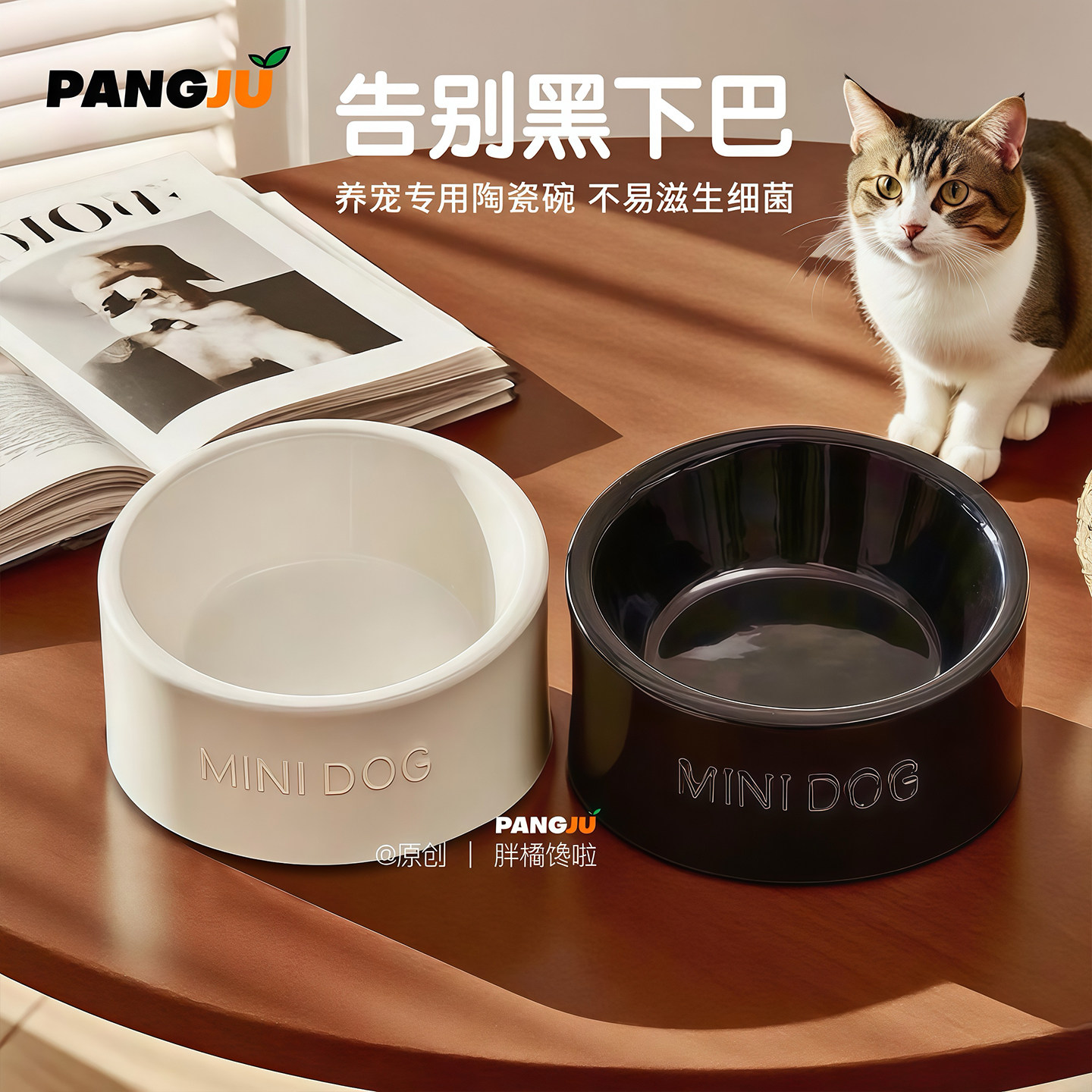 斜口猫狗碗陶瓷高脚宠物碗保护颈椎矮脚猫喝水碗喂狗粮碗猫粮食盆,淘宝优惠券,粉丝福利购,淘宝优惠卷