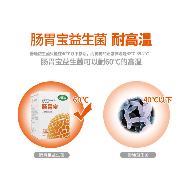 小宠肠胃宝宠物益生菌金毛泰迪狗狗猫咪拉肚子肠胃调理犬猫保健1,淘宝优惠券,粉丝福利购,淘宝优惠卷
