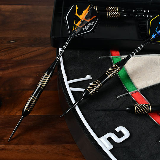 拓朴运动 20克金属飞镖针套装 专业纯铜硬针飞镖 针式飞镖游戏