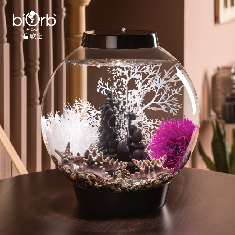 碧欧宝biorb英国鱼缸水族箱自然装饰品 海星仿真造景客厅鱼缸布景 - 图2