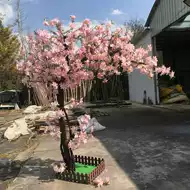 梨花海棠 新人首单立减十元 21年8月 淘宝海外