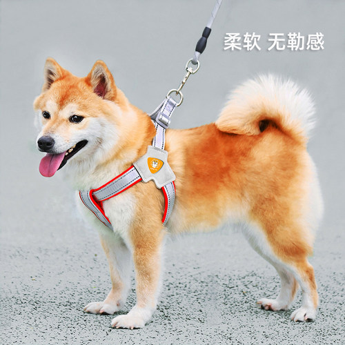 狗狗牵引绳背心式宠物胸背带遛狗绳中小型柴犬柯基比熊泰迪狗链子-图0