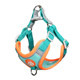 Carroll dog harness is breathable and adjustable