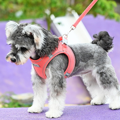 宠物狗狗牵引绳背心式胸背防挣脱中小型犬雪纳瑞比熊万相扣遛狗绳 - 图1