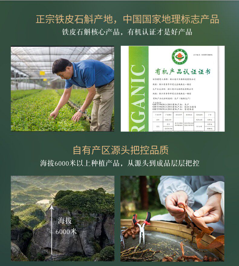 正品霍山铁皮粉鲜条500g干花枫斗 海兴嘉禾石斛/枫斗