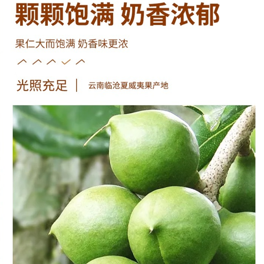 云南夏威夷果澳洲坚果零添加全天然现摘健康零食新鲜原味500克 - 图2