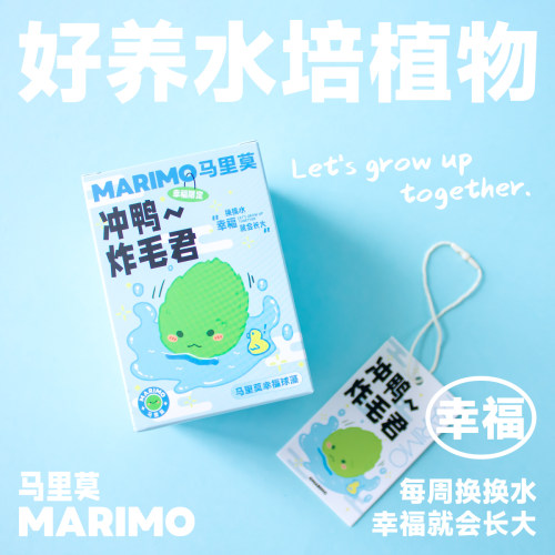 Marimo马里莫冲鸭炸毛君幸福球藻好养植物水培生态瓶微景观礼物-图1