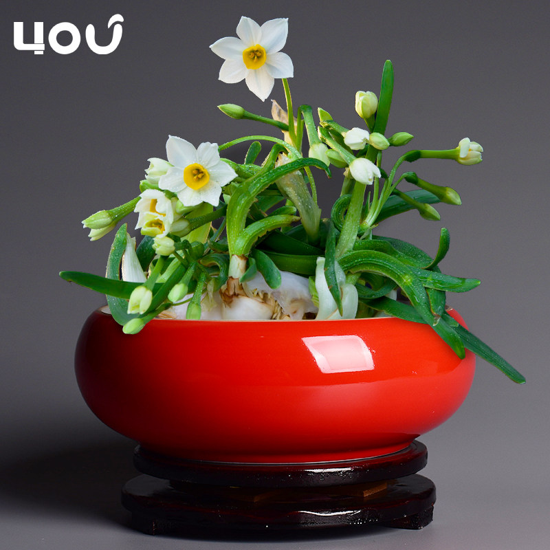 花盆底座木质托盘,淘宝优惠券,粉丝福利购,淘宝优惠卷