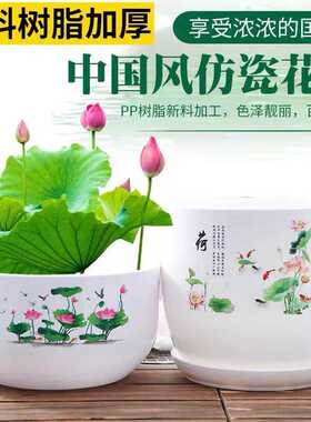 水培无孔碗莲盆睡莲花盆仿瓷简约