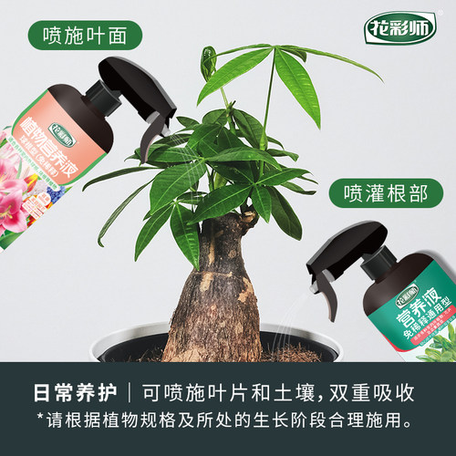 虹越花彩师免稀释营养液通用型水培植物鲜花绿萝花卉绿植球根花肥-图1