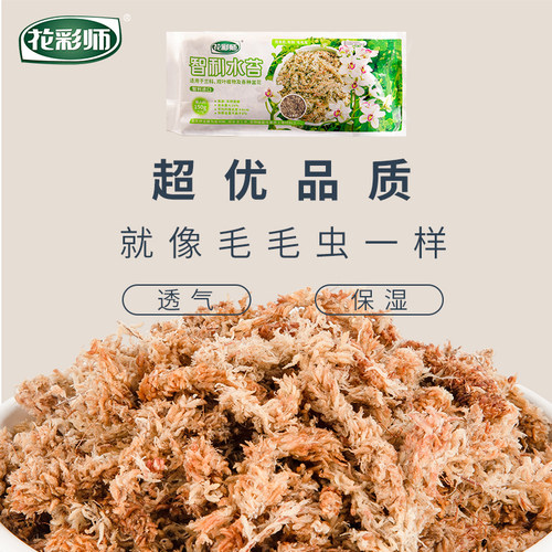虹越花彩师水苔无菌干水苔蝴蝶兰花专用土有机苔藓乌龟冬眠材覆盖 - 图0