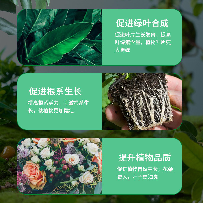 虹越八福仙花丁颗粒骨粉有机肥种花肥天然鱼骨腐熟发酵肥种菜肥料,淘宝优惠券,粉丝福利购,淘宝优惠卷