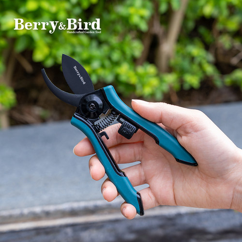 BerryBird特氟龙弯头花枝剪不锈钢刀片虹越园艺采花果迷你修枝剪 - 图0