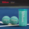 Wilson Wilson Tennis Pink French Open US Open Australian Open Federer Black Can Professional Competition Training Ball Tube