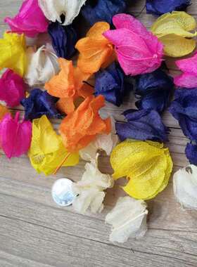 制作组合花头小玉兰灯笼果diy