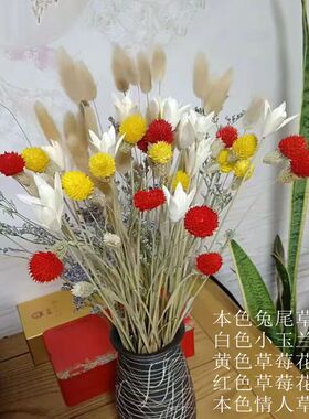 新品云南永生花材多色拍摄小百合